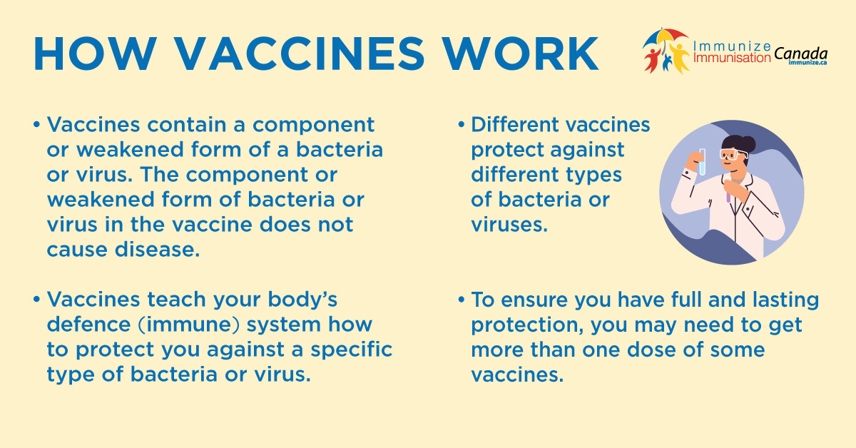 How Vaccines Work - social media image for Twitter